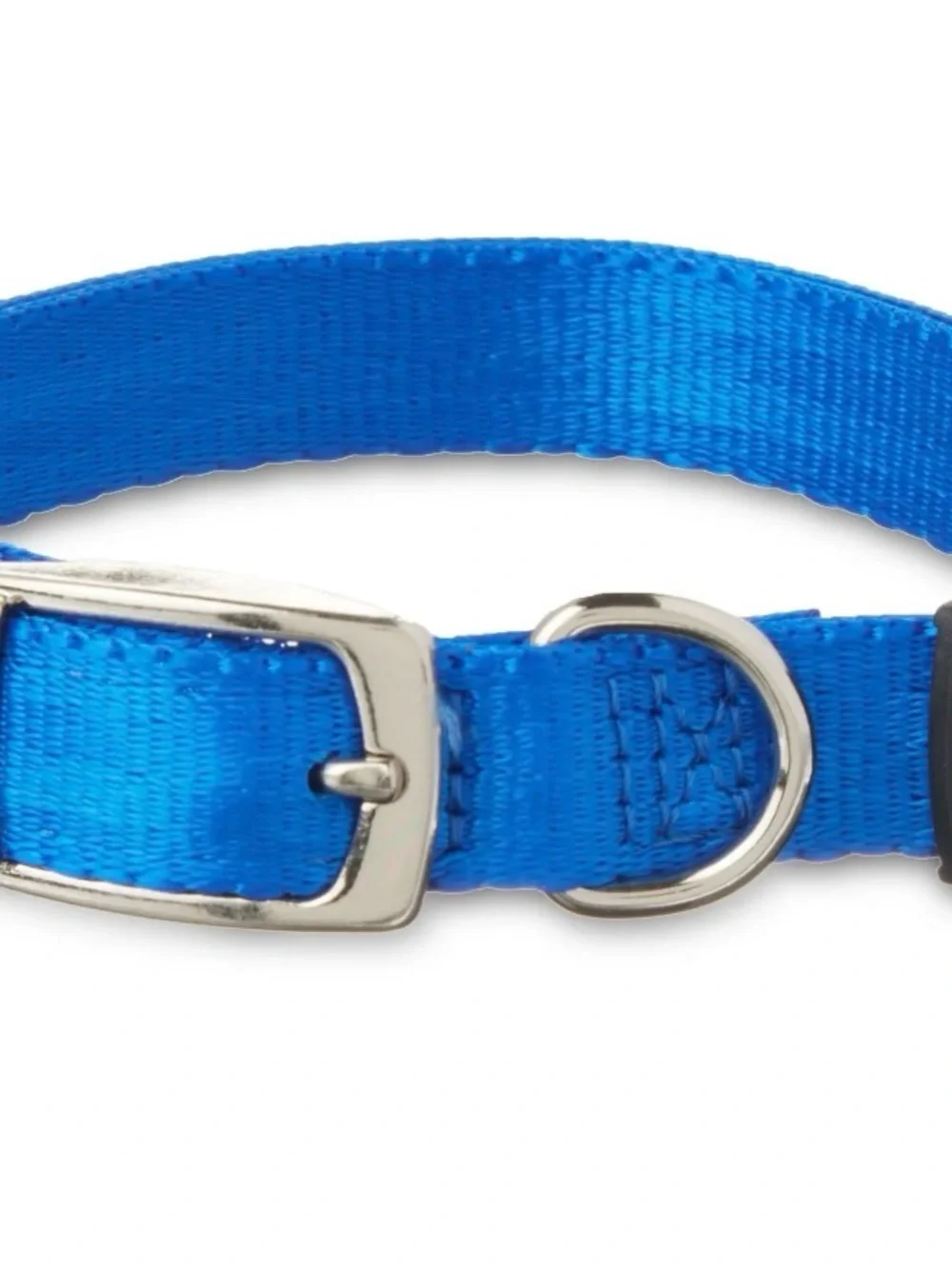 Bencmate Inflatable Dog Collar + Blue Nylon Collar Bundle